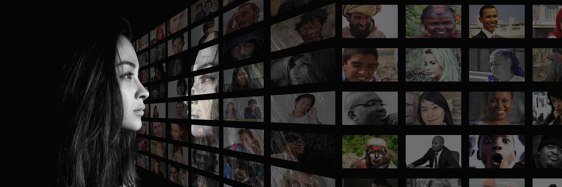 Social Media Diversity