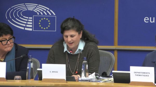 Implementing the EMFA Elda Brogi