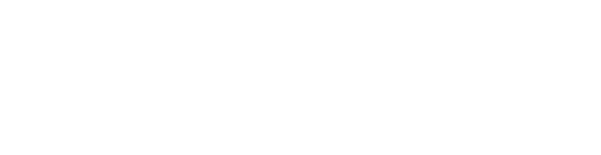 Logo Centre for a Digital Society
